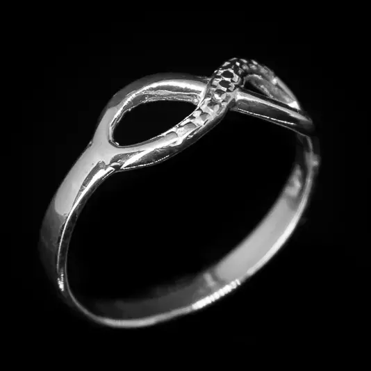 Ovaj prsten nosi sa sobom duboko značenje i eleganciju. Infinity Prsten je idealan izbor kao poklon voljenoj osobi, predstavljajući večnu vezu i neprestano trajanje ljubavi. Izrađen sa pažnjom od visokokvalitetnog 925 srebra, ovaj prsten je prelep izraz stila i simbolike. Nosite ga s ponosom kao podsećanje na večnu lepotu i značaj svakog trenutka.