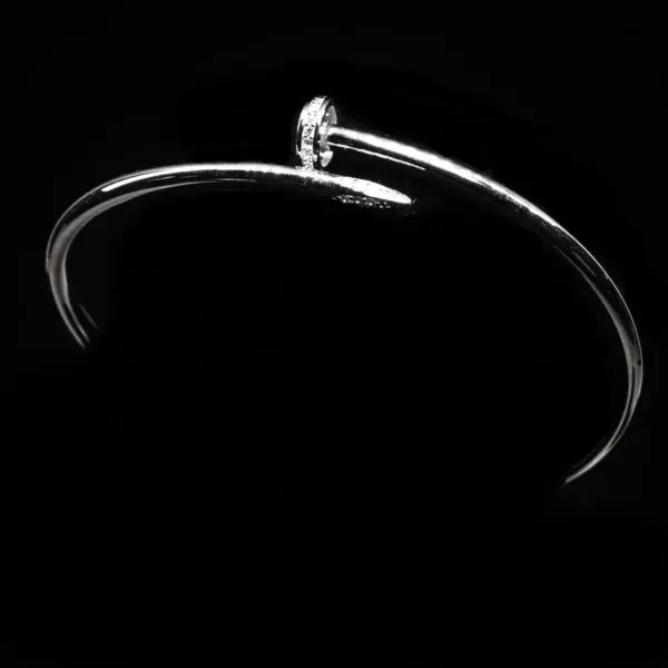 "Ekser Cirkon" ženska srebrna narukvica - minimalistički dizajn koji govori snažno. Ova jednostavna, a istovremeno moderna narukvica ističe se svojom elegantnom jednostavnošću. Izrađena od visokokvalitetnog srebra, donosi suptilan sjaj na svaki outfit. Dodajte dozu sofisticiranosti svom stilu s ovim klasičnim komadom nakita.